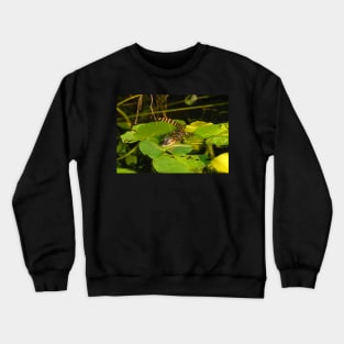 Gator Baby Crewneck Sweatshirt